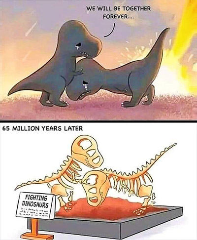 cartoon meme from Facebook with two panels. Panel 1 shows two crying dinosaurs with meteors hitting the ear. 1 is comforting the other. One dinosaure says, "We will be together forever...." Panel 2 shows 2 dinosaur skeletons in the same position as the first pane, in a museum display. Text: 65 million years later. The sign in front of the display: "Fighting Dinosaurs.